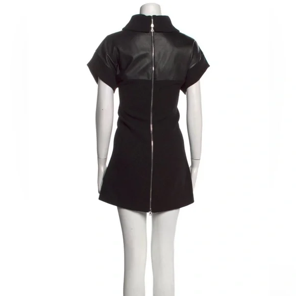 diana leather dress Diana Dress main image 1